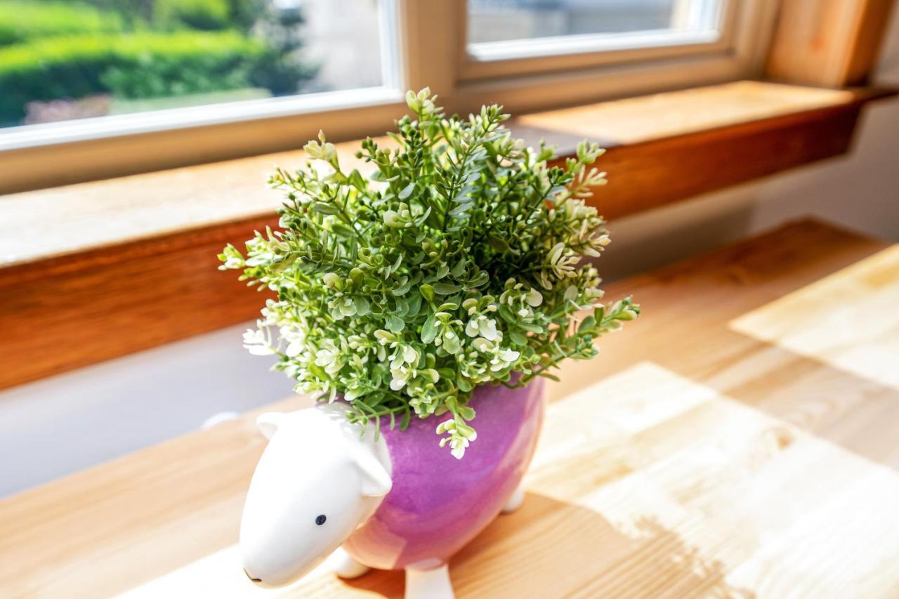Cozy With Character Cheerful Home With Garden At Leith Links Park إدنبرة المظهر الخارجي الصورة